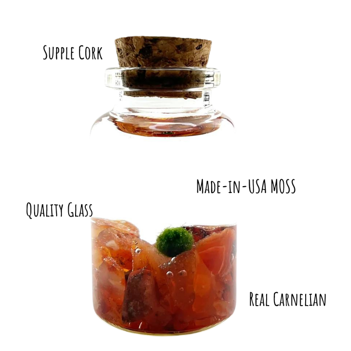 Tiny Marimo Moss Ball Terrarium with Carnelian Gemstones