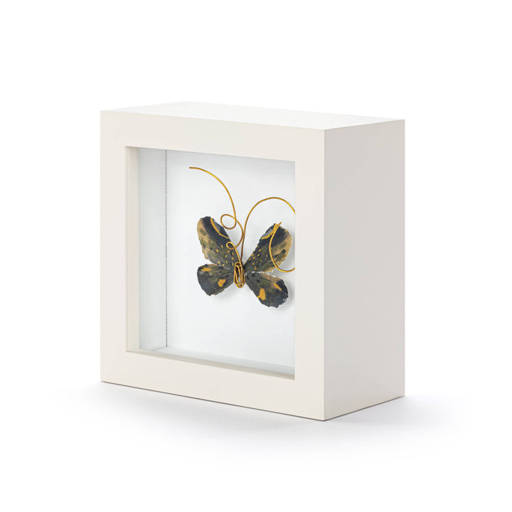 Heart of Gold Black & Gold Butterfly Shadow Box - 4in