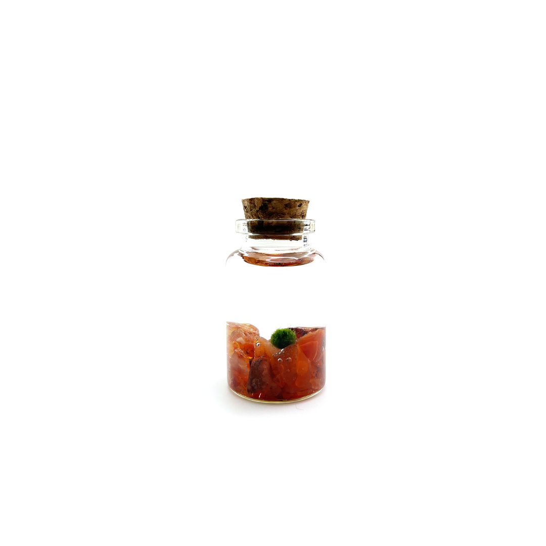 Tiny Marimo Moss Ball Terrarium with Carnelian Gemstones