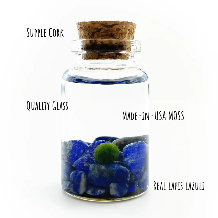 Lapis Lazuli Moss Niño