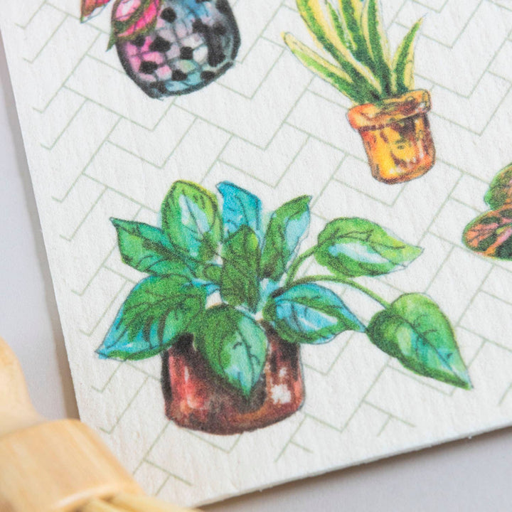 Plants Dishcloth Houseplant Potted Plants Swedish Dishcloth