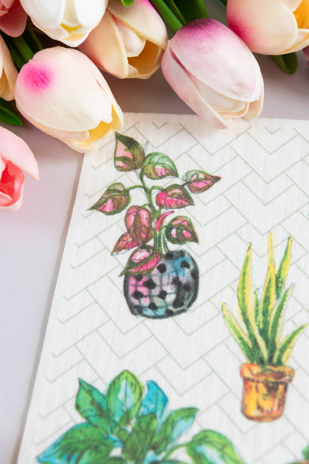 Plants Dishcloth Houseplant Potted Plants Swedish Dishcloth