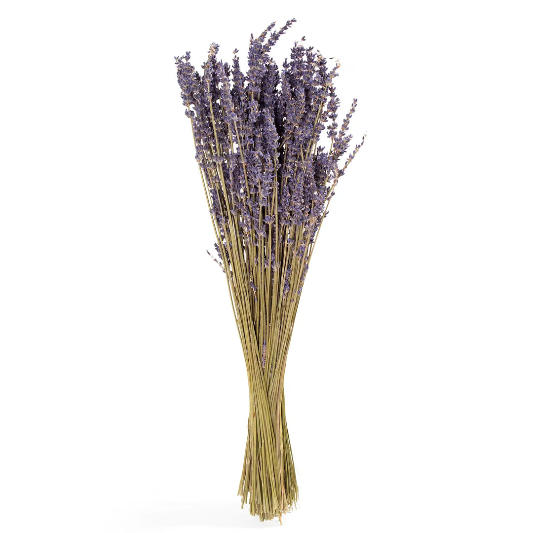 Dried Lavender Bouquet