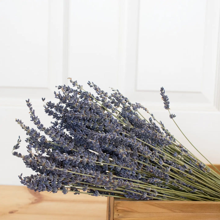 Dried Lavender Bouquet