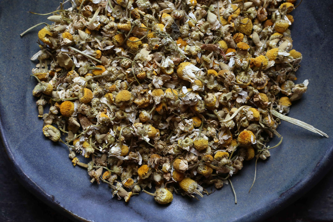 Chamomile - German Matricaria chamomilla | Bulk Herbs | Organic | Herbalist | Herbal Tea